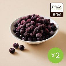 올가 냉동 유기농 블루베리 (500gx2개), 2개, 500g
