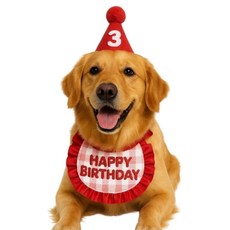 엘유엔 반려동물 생일케이프 모자 숫자스티커 세트, 1개, 레드