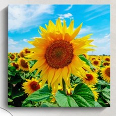 해바라기 그림 액자 인테리어 거실 벽 장식 따뜻한 감성 선물, 상세페이지 참조