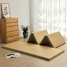 접이식 다다미 매트 거실 사계절 야자 등나무 일본식 깔개, A. 2cm 코코넛 팜 05