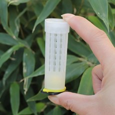 자동 이충기 여왕벌 양봉 시골 양봉원 사육 꿀벌, 1개