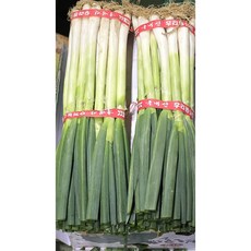 국내산 고랭지 손질 흙 대파2단4kg 내외 4단8kg내외 알뜰농장, 1개, 8kg