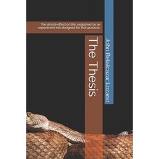 The Thesis: The droste effect on life explained by an experiment not designed for that purpose. Paperback, Independently Published, English, 9798671758528
