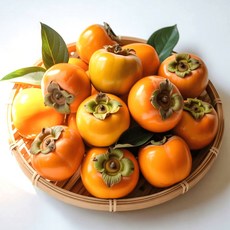 산지직송 단감 햇단감 국내산 제철과일 단감, 1개, 5kg 소(31~35과)