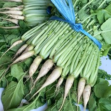 채소애 국내산 생 열무, 1박스, 1단 (1.4kg)