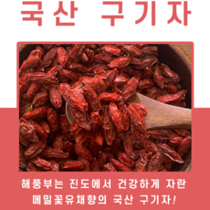 진도 국산 건구기자 고지베리, 1개, 100g