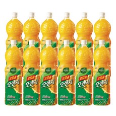 자연은 고칼슘 오렌지 페트 1.5L, 12개