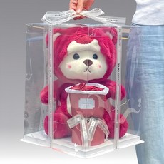 可愛造型絨毛泰迪熊玩偶，柔軟舒適寶寶安撫娃娃，輕巧方便攜帶, 草莓30cm變身莉娜熊+禮盒+燈帶+花束, 1套