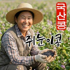 더맛곳간 국산 쥐눈이콩 약콩 서목태 검정콩 검은콩, 1개, 1kg