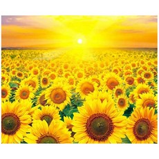 지산 보석십자수 캔버스형 50 x 40 cm DIY 세트, AD13 황금 해바라기, 1세트