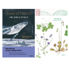 고래는 물에서 숨 쉬지 않는다 + 식물에 관한 오해 (전 2권)