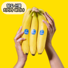 [백화점납품] 고당도 치키타 바나나, 1박스, [로얄] 3송이 (3.9 kg)