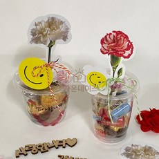 가온데이즈 어버이날 카네이션 선물 초등학생만들기키트, 카네이션포장패키지A