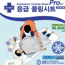 신속 응급처치 쿨링시트 체온조절 30초 급속냉각 폭염응급 온열질환대비 실습용교구 안전교육