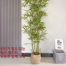 인조 대나무야외 장식품 테라스 카페 오죽 가짜 선인장, 미세 수죽 2.5m 10개 화분 대나무 포함