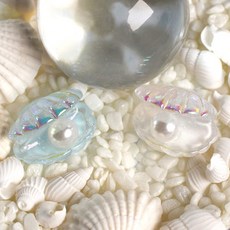 데코 장식 미니어처 파츠 액세서리 - 아쿠아 진주 조개 혼합 10개 1세트