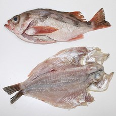 볼락 제주도 자연산 볼락 뽈락 손질 및 반건조, 1개, 200gX3