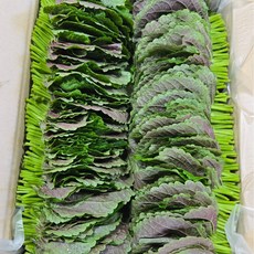 [한정수량] 국내산 더좋은 깻잎 당일수확, 1개, 500g