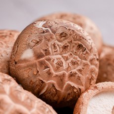 최고급 화고 생표고버섯 국내산 표고버섯 가정용 버섯 더맛상, 1박스, 생표고버섯 300g