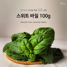 하이드로시드 무농약 친환경 스마트팜 바질 생잎 | 고급허브 | 당일수확 | 당일배송, 100g, 1개