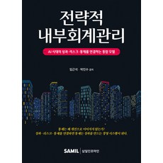 (삼일피더블유씨솔루션) 전략적 내부회계관리 임근석 박민수저 + 스프링분철옵션, 분철안함