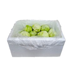Green one 양상추 샐러드용 6kg(스티로폼박스), 6kg, 1박스