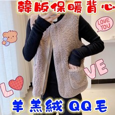 Donggang 羊羔絨背心