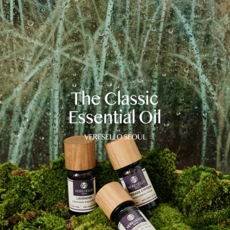 베르셀로 더 클래식 에센셜 오일 22종 The Classic Essential Oil [라벤더 버가못 페퍼민트 티트리 레몬 스윗 오렌지 외], 1개, 펜넬 스윗