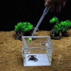 개미 포도 애완 동물 거미 농장 조립 파충류 사육 상자 전갈 등반 탈출 둥지, M, 06, 1개