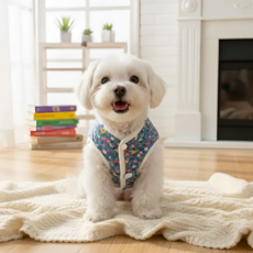 해피조슈아 강아지 김장 누빔 할머니 하네스 조끼, 그랜드 블루, 1개