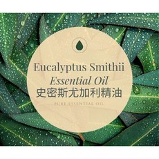 【MW精油工坊】史密斯尤加利精油 10ml - Eucalyptus Smithii Essential Oil, 1個, 草本