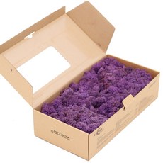 스칸디아모스 500g 실내공기정화 천연이끼, 퍼플, 1개