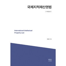 국제지적재산권법, 한울아카데미, 최경수 저