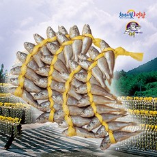 진품명품 영광 법성포 굴비 봄조기 참굴비 대장대 40 20마리 알뜰실속 국산 참조기 굴비구이 조림, 1세트, 2.4kg (장대4호 40마리)