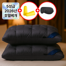 필모어 5성급 호텔 납품 프리미엄 베개 배게, 2개, 그레이스톤