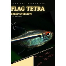 (영문도서) Flag Tetra: From Novice to Expert. Comprehensive Aquarium Fish Guide Paperback, Independently Published, English, 9798399866192