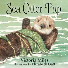(영문도서) Sea Otter Pup Paperback, Orca Book Publishers, English, 9781459815063