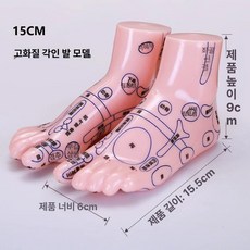 한의원 발 15cm 리플렉솔로지 모형 혈자리 실습 경혈위치 20cm 제품 마네킹 훈련, 1.15CM 고화질 발 모형