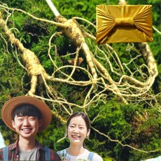 한울산삼 정품 산양산삼 7년 8년 산삼, 10개, 4g