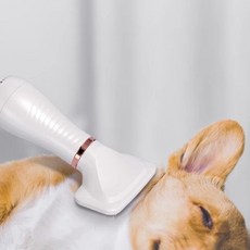 寵物二合一吹風機梳 適用比熊、泰迪犬貓, 1個, 第3代#10分緩幹+1檔調整,卽插卽用適用中小型犬貓邊吹邊梳