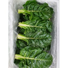 싱싱한 근대 4kg (3.8~4kg) 박스, 1개