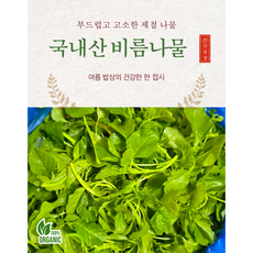 국내산 싱싱한 생 비름 비름나물 봄나물, 1kg, 1개