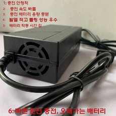 레이싱 고카트 어린이 전동차 배터리 카트 전기 1인용, 전기구동, I. 3A 고속충전 냉각팬
