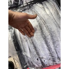 생물 갈치 풀치 목포 먹갈치, 1개, 10~15마리 (2kg)