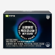 부광약품 쏘팔메토 옥타코사놀 메가플러스 4개월분 (총 120캡슐), 1개, 120정