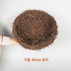 새 둥지 짚 지푸라기 알 집 소품 나뭇가지 상품 모형, 지름 40cm 새둥지