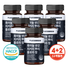 네츄럴바이오팜 플로라 국내산 흑마늘 생강 식약청 HACCP 해썹 인증, 6개, 60정