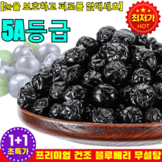 1+1 타이완산 특급 무설탕 블루베리 건조과일 넛츠앤베리스 건블루베리 후라이드 블루베리 건조, 6개, 100g