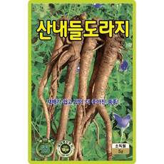 산들마켓 산내들도라지 씨앗 5g 재배가 쉽고 맛이 더 좋아진 국내산 고급 품종 종자, 1개
