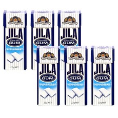 자일라 무설탕껌 천연재료 입냄새제거 페퍼민트, 22g, 6개